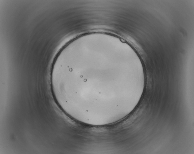 X0000111241384200907301257