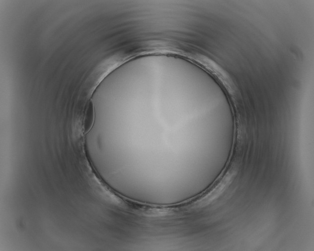 X0000111241385200907301257