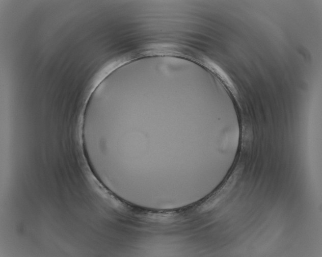 X0000111241386200907301257