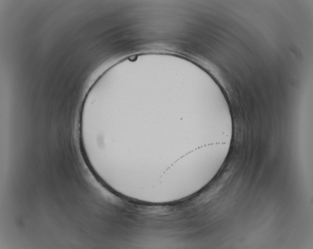 X0000111241387200907301257