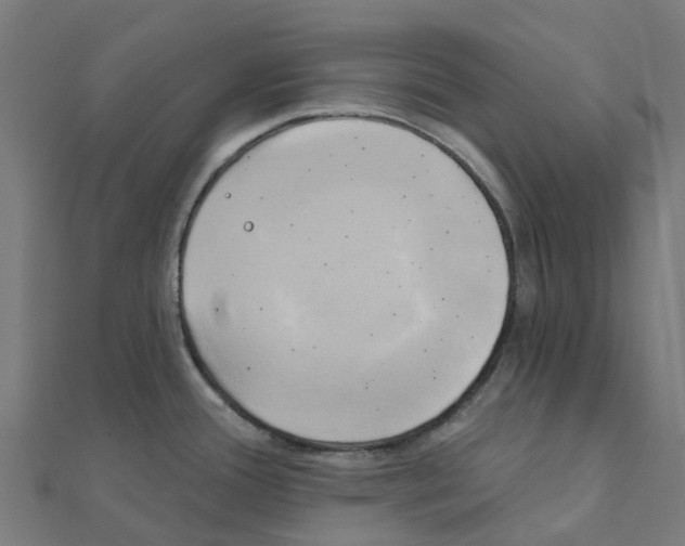 X0000111241388200907301257