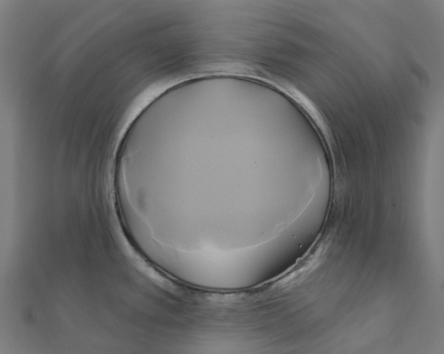 X0000111241389200907301257