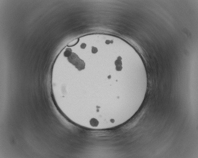 X0000111241391200907301257