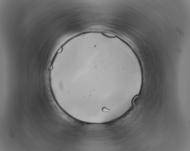 X0000111241392200907301257