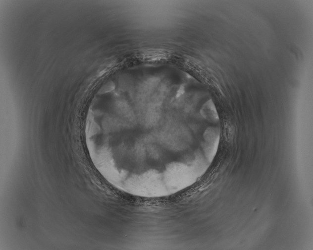 X0000111241393200907301257