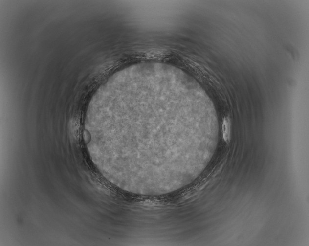 X0000111241395200907301257