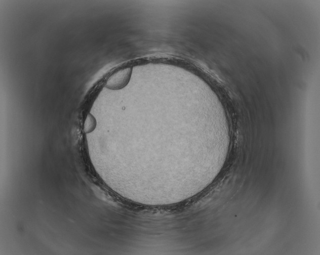 X0000111241400200907301257