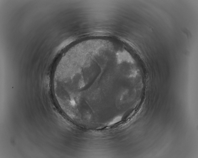 X0000111241402200907301257