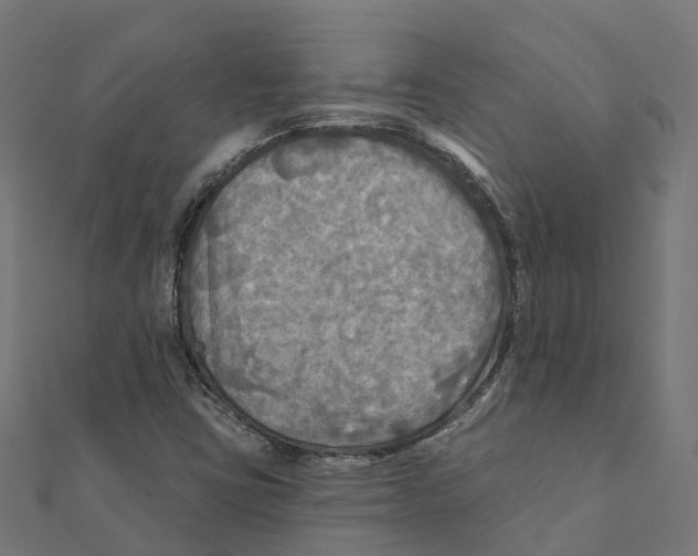 X0000111241403200907301257