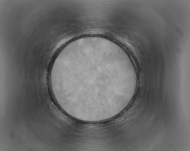 X0000111241404200907301257