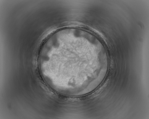 X0000111241407200907301257