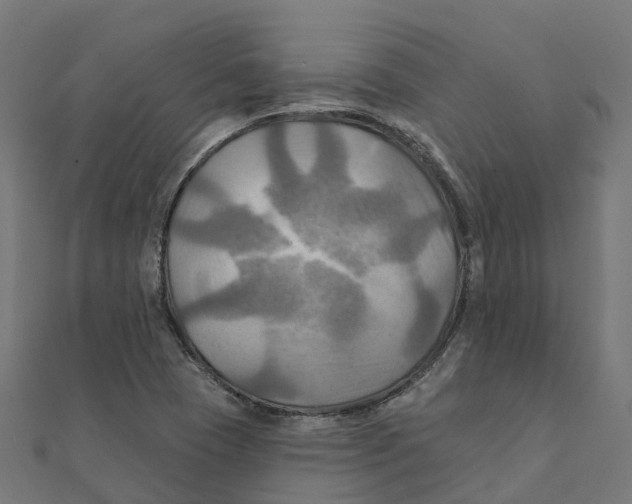 X0000111241409200907301257