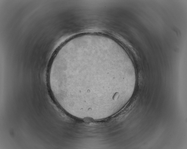 X0000111241412200907301257