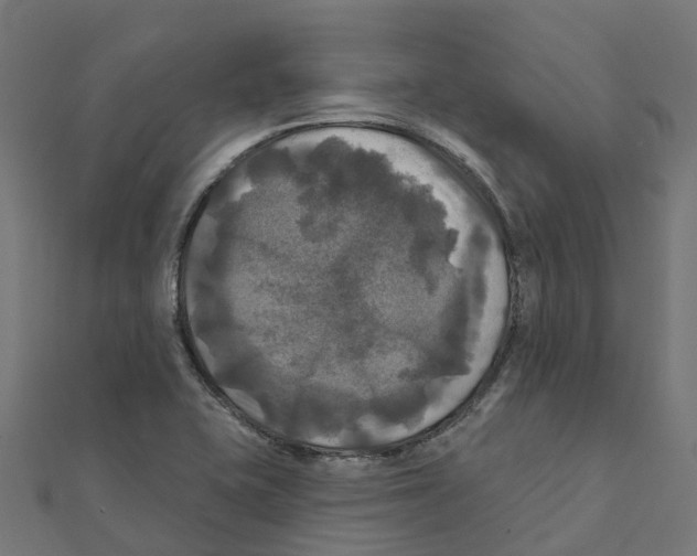 X0000111241415200907301257