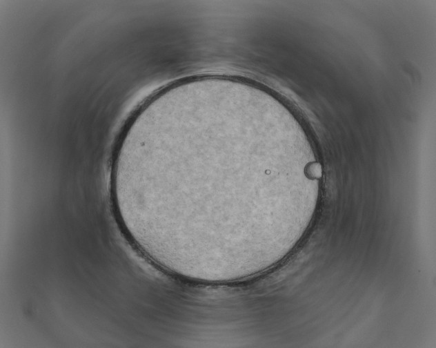 X0000111241416200907301257