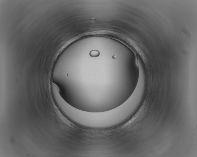 X0000111241417200907301257