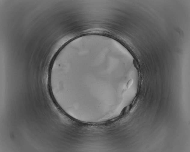 X0000111241418200907301257