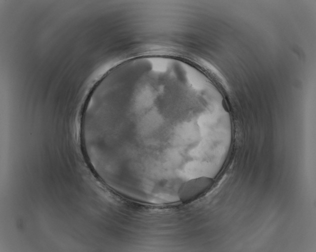 X0000111241419200907301257