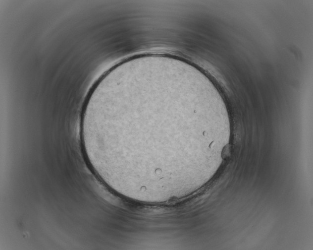 X0000111241420200907301257