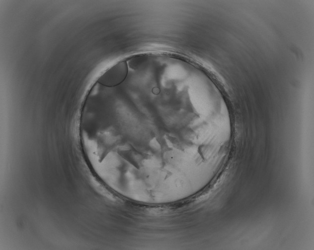 X0000111241421200907301257