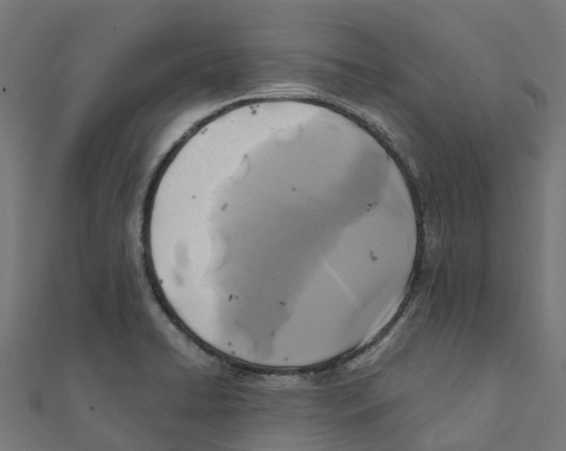 X0000111241422200907301257