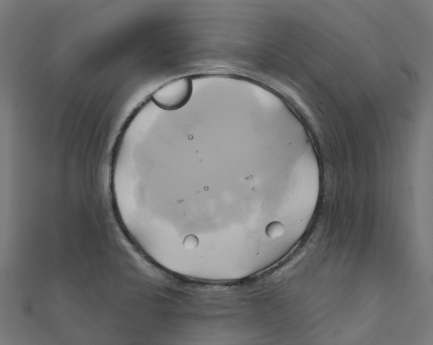 X0000111241424200907301257