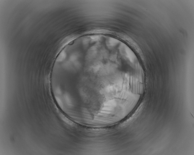 X0000111241425200907301257