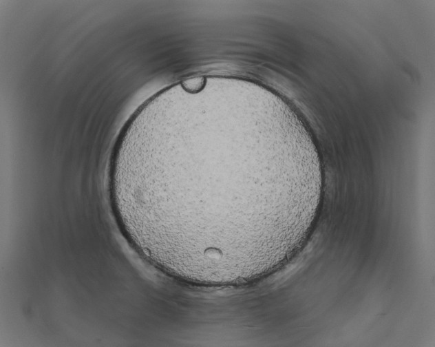 X0000111241426200907301257