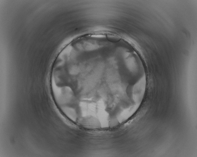 X0000111241429200907301257