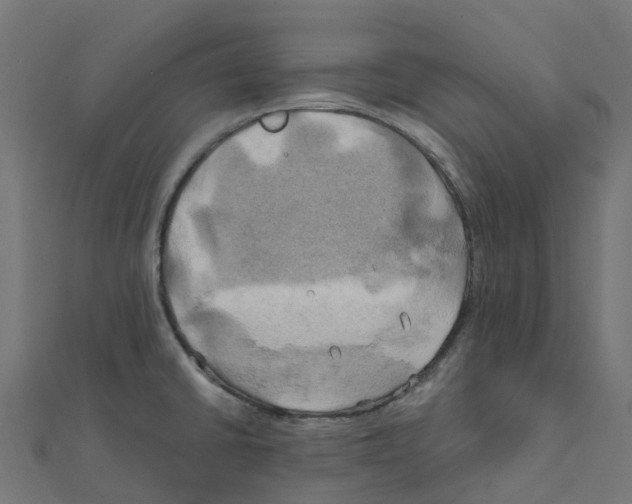 X0000111241430200907301257