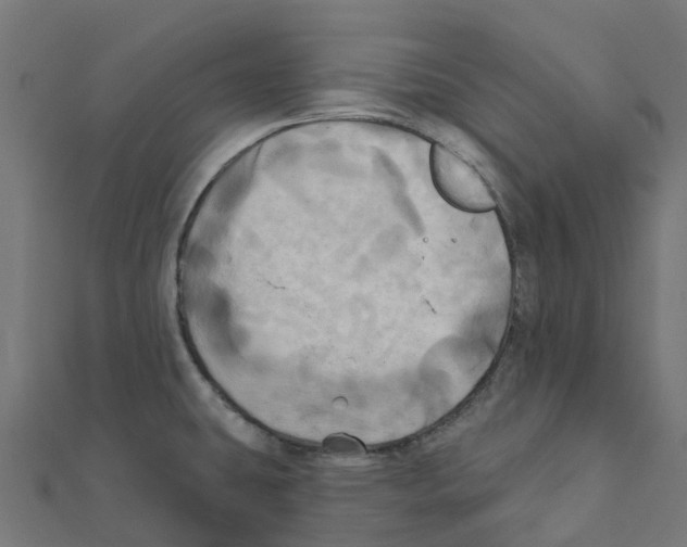 X0000111241431200907301257