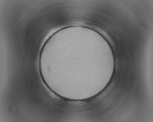 X0000111241432200907301257