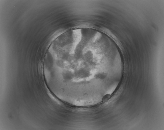 X0000111241433200907301257