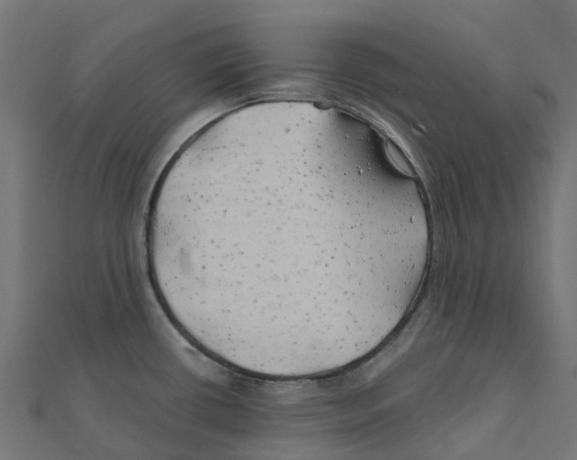 X0000111241434200907301257