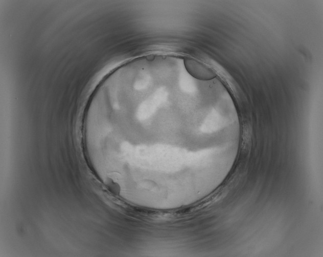 X0000111241435200907301257