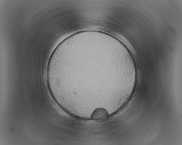 X0000111241436200907301257