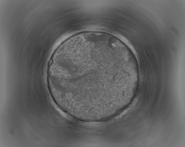 X0000111241437200907301257