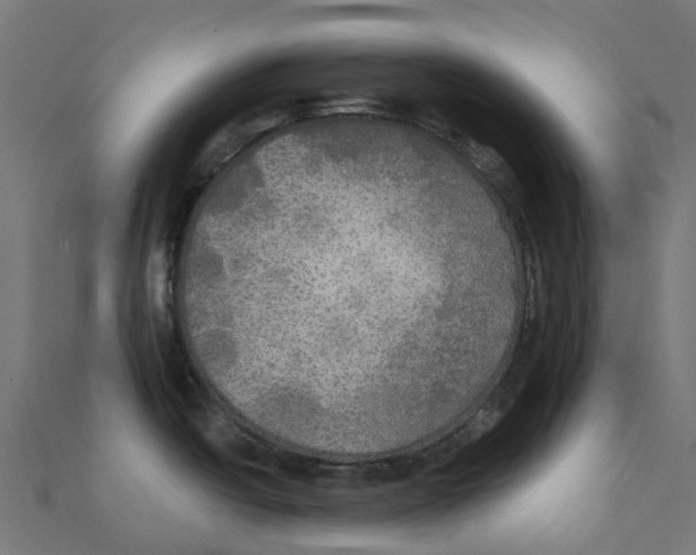 X0000111241438200907301257