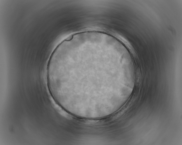 X0000111241439200907301257