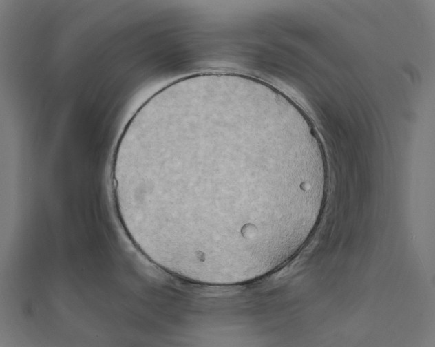 X0000111241440200907301257