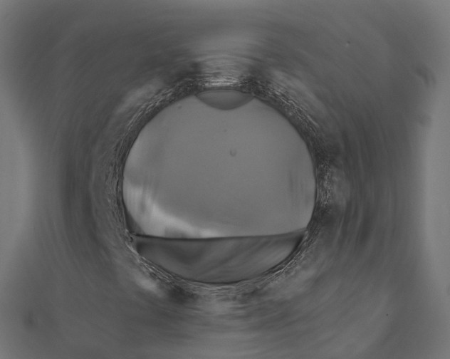 X0000111241441200907301257