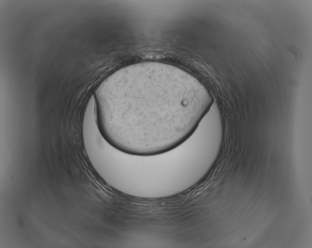 X0000111241444200907301257