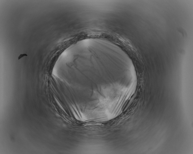 X0000111241445200907301257