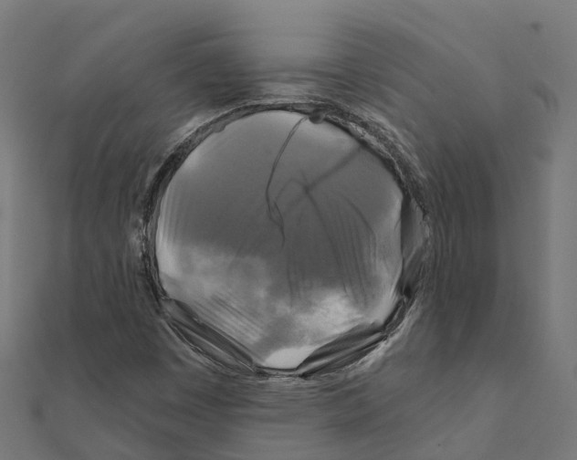 X0000111241449200907301257