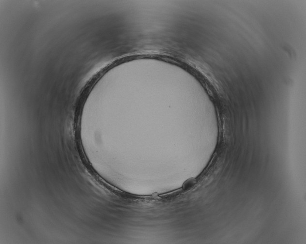 X0000111241452200907301257