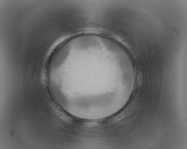 X0000111241454200907301257