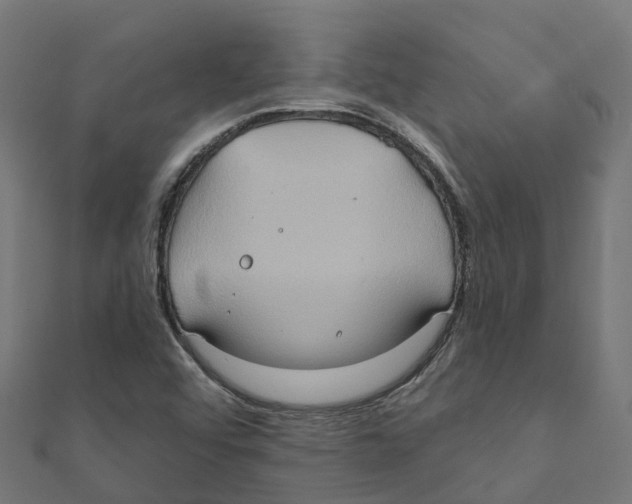 X0000111241456200907301257