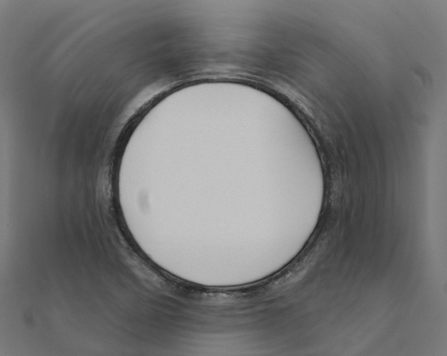 X0000111241458200907301257