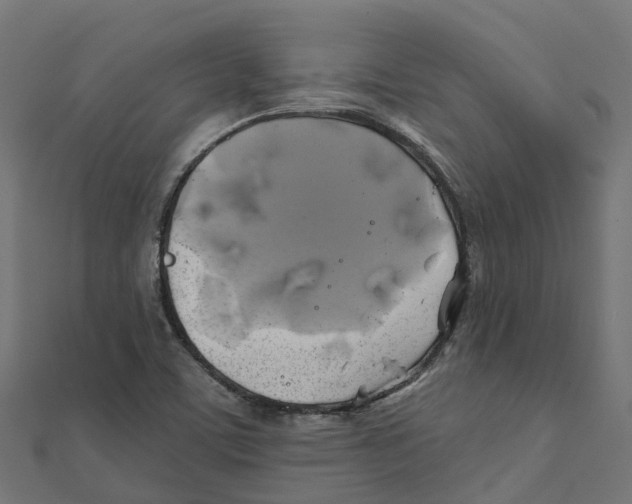 X0000111241459200907301257