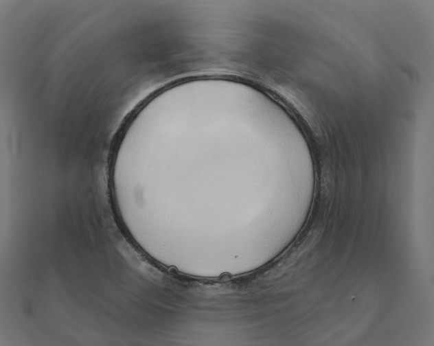 X0000111241460200907301257